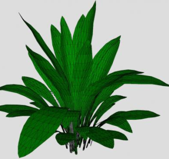 大型草本植物SU模型下载_sketchup草图大师SKP模型