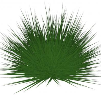 草本草科植物SU模型下载_sketchup草图大师SKP模型