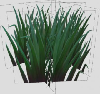 3D长草植物SU模型下载_sketchup草图大师SKP模型