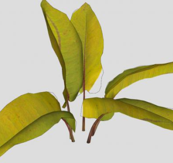 巨型草本植物SU模型下载_sketchup草图大师SKP模型