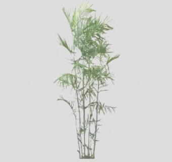 观赏竹子植物SU模型下载_sketchup草图大师SKP模型
