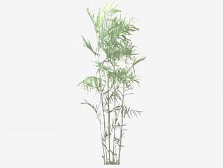 <em>观赏</em>竹子植物SU模型下载_sketchup草图大师SKP模型