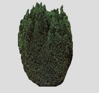 2D绿植SU模型下载_sketchup草图大师SKP模型