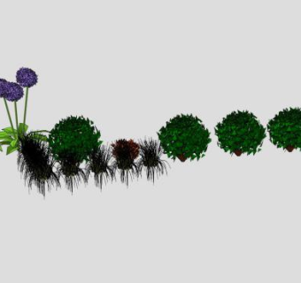 现代植物组成SU模型下载_sketchup草图大师SKP模型