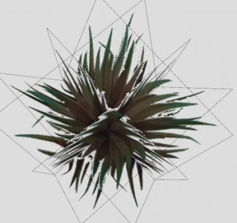 立体效果的青草植物SU模型下载_sketchup草图大师SKP模型