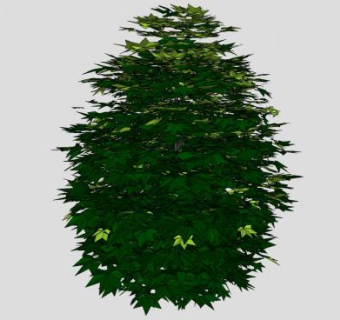 冬青属植物乔木SU模型下载_sketchup草图大师SKP模型
