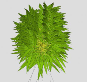 箭竹属灌木植物SU模型下载_sketchup草图大师SKP模型