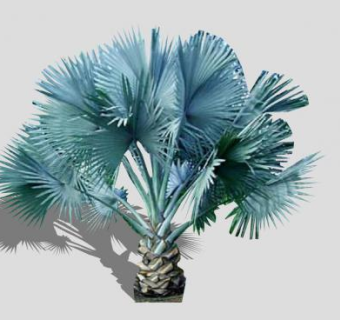 2D棕榈植物SU模型下载_sketchup草图大师SKP模型