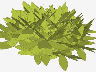 常绿绿叶植物SU模型下载_sketchup草图大师SKP模型