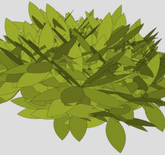 常绿绿叶植物SU模型下载_sketchup草图大师SKP模型