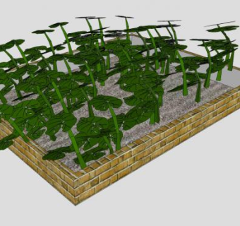 花坛里的植物种植SU模型下载_sketchup草图大师SKP模型