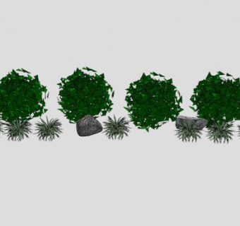 现代灌木植物SU模型下载_sketchup草图大师SKP模型