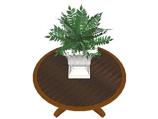 木桌上的盆栽植物SU模型下载_sketchup草图大师SKP模型