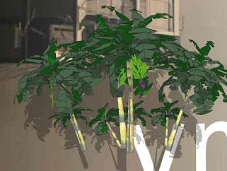 多棵香蕉树<em>植物SU模型</em>下载_sketchup草图大师SKP模型