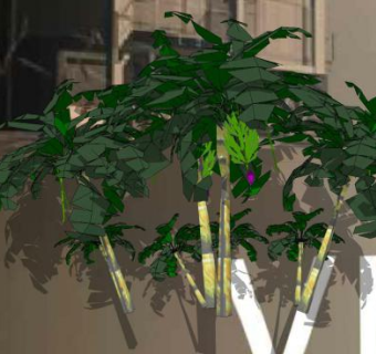 多棵香蕉树植物SU模型下载_sketchup草图大师SKP模型