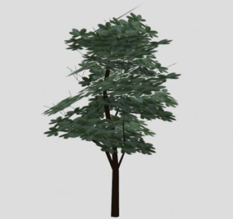 常青树树木SU模型下载_sketchup草图大师SKP模型