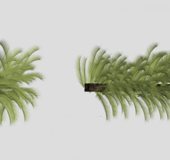 莎蔓芭亚蕨SU模型下载_sketchup草图大师SKP模型