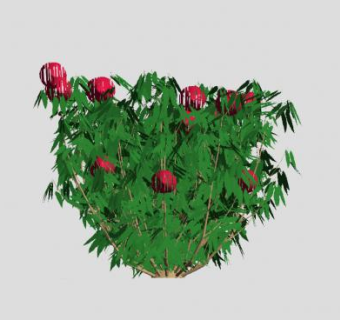 红色绣球花灌木植物SU模型下载_sketchup草图大师SKP模型