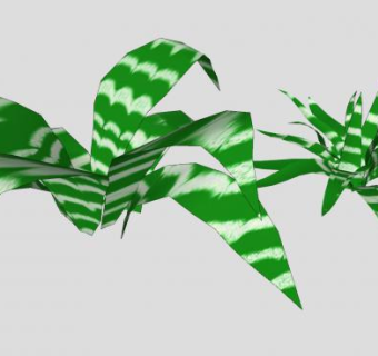 斑纹草本植物SU模型下载_sketchup草图大师SKP模型