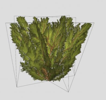 现代矮灌木植物SU模型下载_sketchup草图大师SKP模型