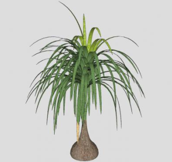 半落叶乔木香蕉树SU模型下载_sketchup草图大师SKP模型