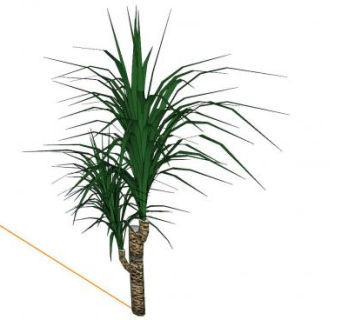 观赏木本植物SU模型下载_sketchup草图大师SKP模型