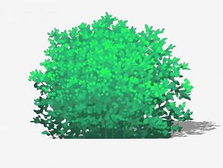绿色2D灌木植物SU模型下载_sketchup草图大师SKP模型