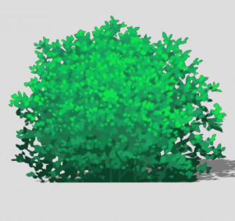 绿色2D灌木植物SU模型下载_sketchup草图大师SKP模型