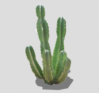 仙人掌科鸡冠柱属植物SU模型下载_sketchup草图大师SKP模型