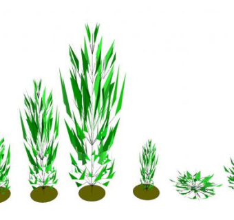 景观植物系列SU模型下载_sketchup草图大师SKP模型
