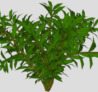 常绿树植物SU模型下载_sketchup草图大师SKP模型