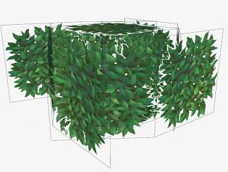 <em>立体</em>常绿灌木植物SU模型下载_sketchup草图大师SKP模型