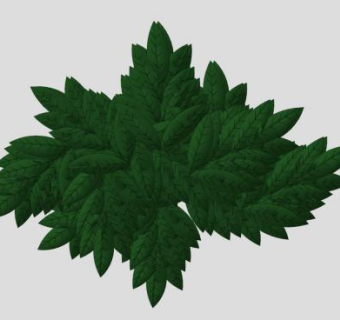 阔叶树叶植物SU模型下载_sketchup草图大师SKP模型