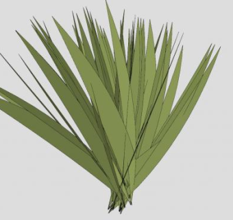 长草植物SU模型下载_sketchup草图大师SKP模型