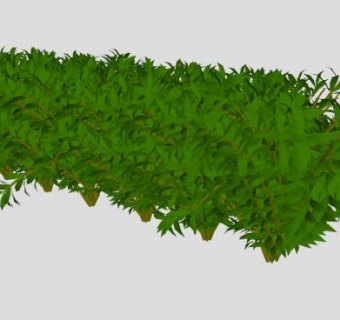 灌木植物景观SU模型下载_sketchup草图大师SKP模型