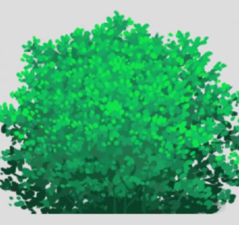 绿叶纹理植物SU模型下载_sketchup草图大师SKP模型