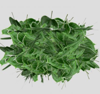 阔叶灌木植物SU模型下载_sketchup草图大师SKP模型