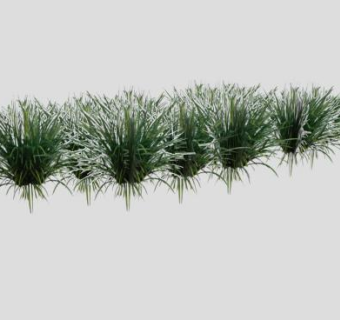 半遮阳的观赏植物SU模型下载_sketchup草图大师SKP模型