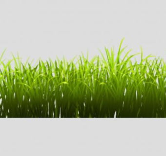 2D青草丛SU模型下载_sketchup草图大师SKP模型