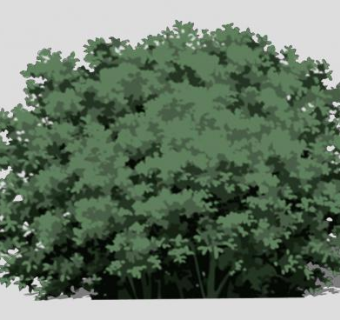灌木植物平面SU模型下载_sketchup草图大师SKP模型