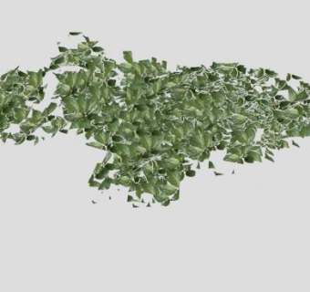 3D常春藤植物SU模型下载_sketchup草图大师SKP模型