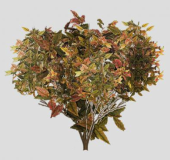 普通灌木植物SU模型下载_sketchup草图大师SKP模型