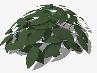 小型立体矮灌木SU模型下载_sketchup草图大师SKP模型