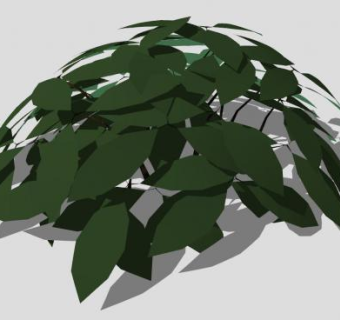 小型立体矮灌木SU模型下载_sketchup草图大师SKP模型
