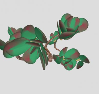 旱生植物SU模型下载_sketchup草图大师SKP模型