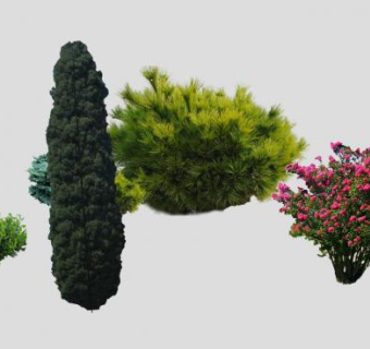 灌木和乔木植物SU模型下载_sketchup草图大师SKP模型