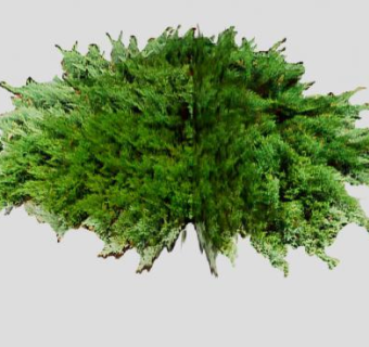 立体树木植物SU模型下载_sketchup草图大师SKP模型