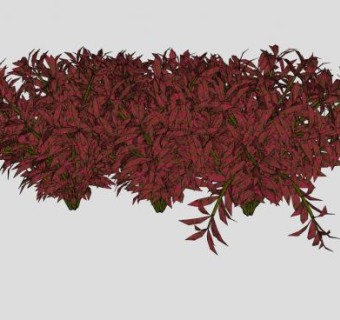 红叶灌木植物SU模型下载_sketchup草图大师SKP模型