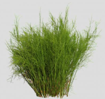 鸡血藤植物SU模型下载_sketchup草图大师SKP模型