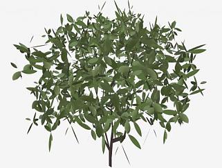 小型绿色灌木植物SU模型下载_sketchup草图大师SKP模型